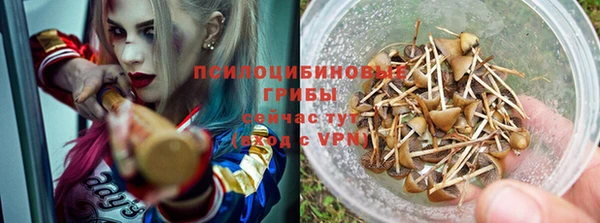 таблы Белокуриха