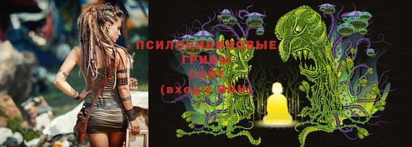 MESCALINE Богданович